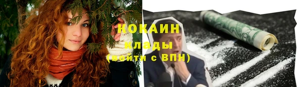 PSILOCYBIN Майский