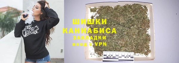 PSILOCYBIN Майский