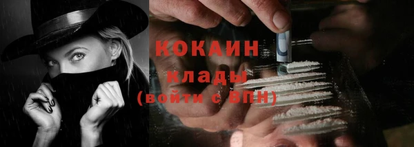 PSILOCYBIN Майский