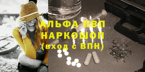 PSILOCYBIN Майский