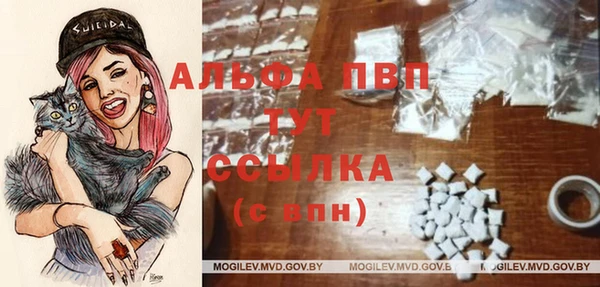 PSILOCYBIN Липки