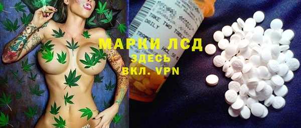 PSILOCYBIN Майский