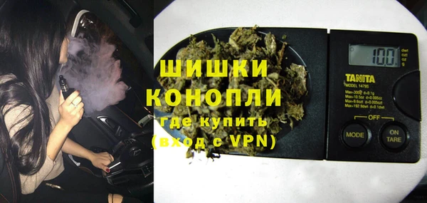 PSILOCYBIN Майский