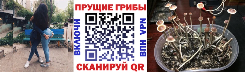 Галлюциногенные грибы прущие грибы  Харовск 
